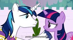 Size: 640x355 | Tagged: safe, screencap, shining armor, twilight sparkle, a canterlot wedding, g4, mlp-captions, youtube caption