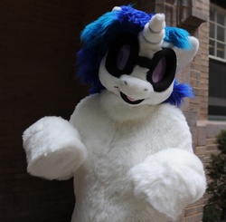 Size: 683x668 | Tagged: safe, artist:spainfischer, dj pon-3, vinyl scratch, g4, fursuit, irl, photo