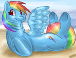 Size: 1300x1000 | Tagged: safe, artist:rawritron, rainbow dash, g4, beach, female, hooves, solo, underhoof