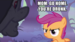 Size: 1920x1080 | Tagged: safe, edit, edited screencap, screencap, olden pony, scootaloo, g4, sleepless in ponyville, caption, image macro, insane fan theory, out of context