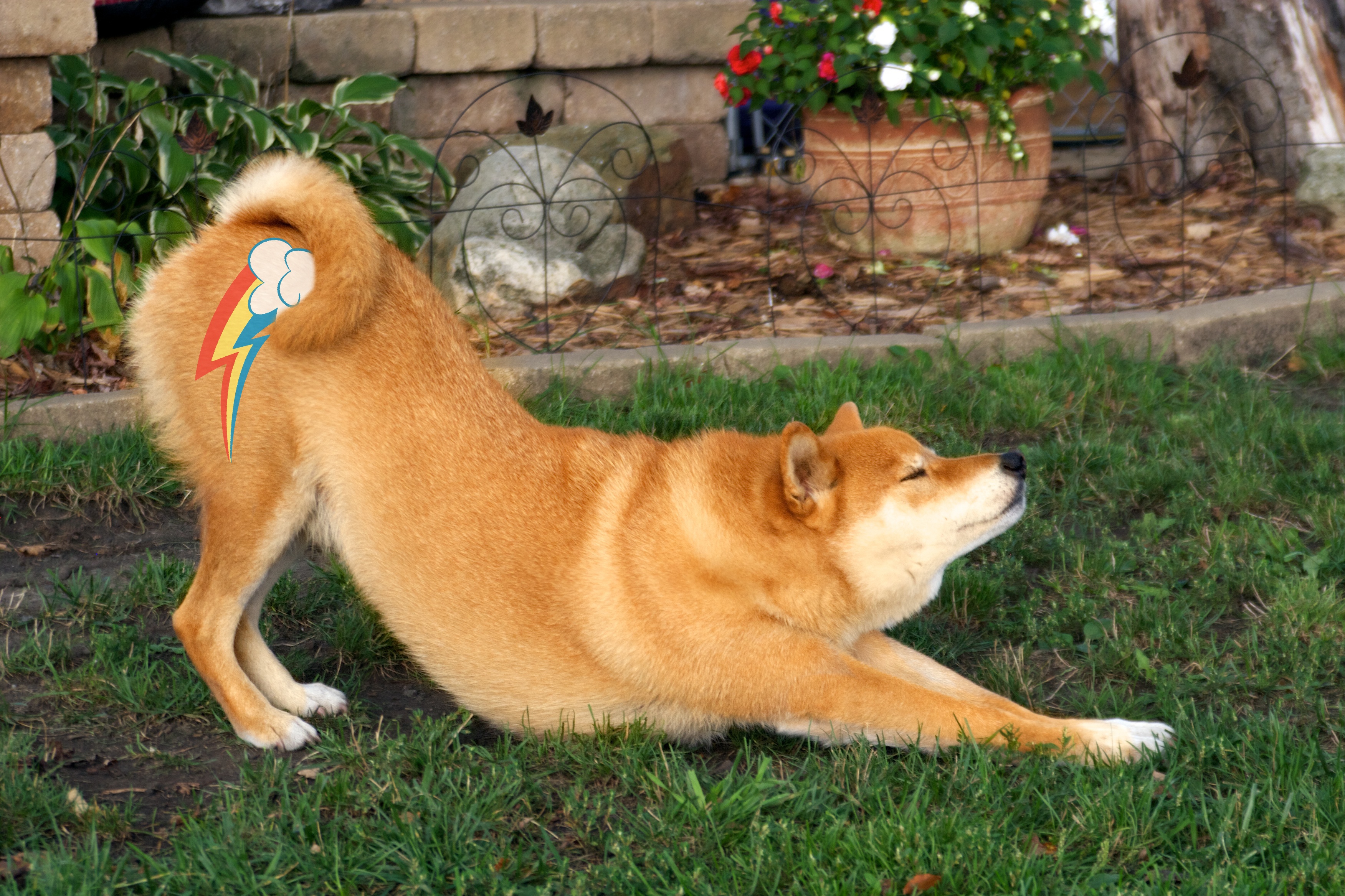 385628 Dog Doge Exploitable Meme Iwtcird Safe Shiba Inu