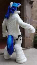 Size: 519x903 | Tagged: safe, artist:spainfischer, dj pon-3, vinyl scratch, human, g4, fursuit, irl, irl human, photo, solo