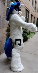 Size: 548x1029 | Tagged: safe, artist:spainfischer, dj pon-3, vinyl scratch, g4, fursuit, irl, photo