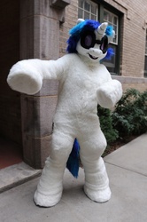 Size: 708x1064 | Tagged: safe, artist:spainfischer, dj pon-3, vinyl scratch, g4, fursuit, irl, photo