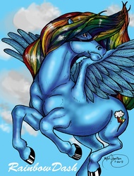 Size: 799x1049 | Tagged: safe, artist:almightygremlyn, rainbow dash, g4, female, solo