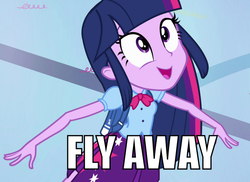 Size: 823x600 | Tagged: safe, edit, edited screencap, screencap, twilight sparkle, equestria girls, g4, my little pony equestria girls, cropped, female, image macro, solo