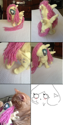 Size: 1440x2848 | Tagged: safe, fluttershy, oc, cat, g4, irl, irl cat, photo, plushie