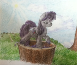 Size: 500x424 | Tagged: safe, artist:darkpiplup1, berry punch, berryshine, earth pony, pony, g4, female, grape stomping, grapes, mare, solo, stomping, traditional art