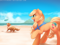 Size: 1400x1050 | Tagged: safe, artist:spittfireart, applejack, winona, g4, beach, frisbee