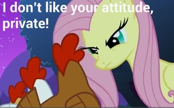 Size: 1280x800 | Tagged: safe, edit, edited screencap, screencap, fluttershy, chicken, pony, g4, stare master, caption, drill sergeant, female, mare, text