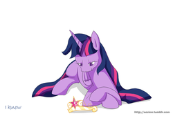 Size: 800x537 | Tagged: safe, twilight sparkle, alicorn, pony, g4, element of magic, female, mare, solo, twilight sparkle (alicorn)