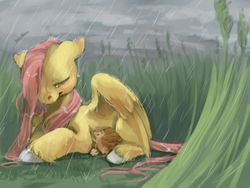 Size: 800x600 | Tagged: safe, artist:wyshlexia, fluttershy, hedgehog, g4, animal, grass, lying down, rain, unshorn fetlocks, wet mane