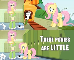 Size: 1537x1244 | Tagged: safe, edit, edited screencap, screencap, angel bunny, fluttershy, cat, human, pegasus, pony, rabbit, dragonshy, equestria girls, g4, my little pony equestria girls, animal, bunny scale, comparison, female, human ponidox, kitten, male, mare, self ponidox, size chart, size comparison