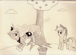 Size: 7002x5100 | Tagged: safe, artist:silverweed91, applejack, princess luna, g4, absurd resolution, apple, bucking, happy, monochrome, traditional art, tree