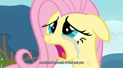 Size: 640x355 | Tagged: safe, screencap, fluttershy, g4, female, solo, youtube caption