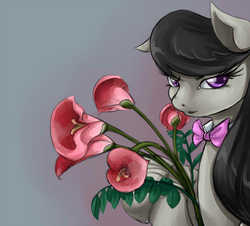 Size: 1104x1000 | Tagged: safe, artist:insanitylittlered, octavia melody, earth pony, pony, g4, female, flower, solo