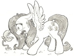 Size: 1280x972 | Tagged: safe, artist:dimwitdog, fluttershy, pegasus, pony, g4, female, mare, monochrome, pencil drawing, plant, shocked, solo, traditional art, wings