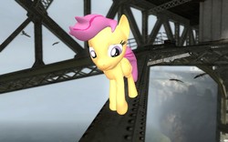 Size: 1680x1050 | Tagged: safe, artist:pinkie diane roosevelt phd, scootaloo, seagull, g4, 3d, female, filly, foal, gmod, half-life 2, high up, solo