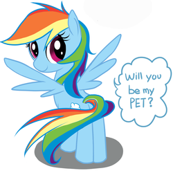 Size: 900x900 | Tagged: safe, artist:celine-artnsfw, rainbow dash, g4, female, fourth wall, pet, solo