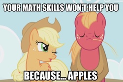 Size: 960x640 | Tagged: safe, applejack, big macintosh, earth pony, pony, g4, because... apples, image macro, male, math, stallion