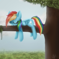 Size: 3000x3000 | Tagged: safe, artist:skybrush-viffex, rainbow dash, g4, female, sleeping, solo, tree