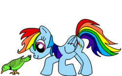 Size: 640x400 | Tagged: safe, artist:youwillneverkno, rainbow dash, bird, g4