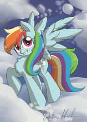 Size: 1500x2100 | Tagged: safe, artist:nerow94, rainbow dash, g4, chest fluff, female, solo