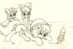 Size: 2281x1544 | Tagged: safe, artist:punk-pegasus, apple bloom, scootaloo, sweetie belle, earth pony, pegasus, pony, unicorn, g4, cutie mark crusaders, fireworks, traditional art