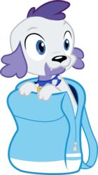 Size: 2500x4461 | Tagged: safe, artist:omega-style, color edit, rarity, spike, spike the regular dog, dog, equestria girls, g4, backpack, male, palette swap, recolor, simple background, solo, species swap, spike the dog, transparent background, vector