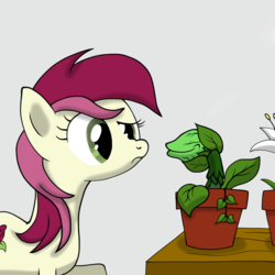 Size: 2048x2048 | Tagged: safe, artist:that1andonly, roseluck, earth pony, pony, g4, audrey 2, confused, crossover, female, little shop of horrors, mare, plant, raised eyebrow, smiling, solo