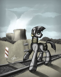 Size: 1280x1606 | Tagged: safe, artist:slawomiro, zecora, zebra, g4, female, solo