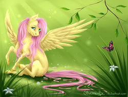 Size: 1024x780 | Tagged: safe, artist:silverleafx, fluttershy, butterfly, pegasus, pony, cute, female, mare, realistic, shyabetes, solo