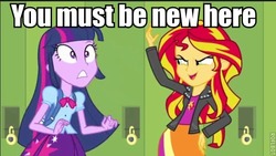 Size: 600x339 | Tagged: safe, sunset shimmer, twilight sparkle, equestria girls, g4, my little pony equestria girls, image macro, you must be new here