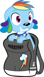 Size: 1280x2217 | Tagged: safe, artist:omega-style, rainbow dash, spike, spike the regular dog, dog, equestria girls, g4, backpack, female, simple background, solo, species swap, spike the dog, transparent background, vector