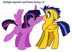 Size: 900x647 | Tagged: safe, artist:calicopikachu, flash sentry, twilight sparkle, alicorn, pony, equestria girls, g4, my little pony equestria girls, equestria girls ponified, ponified, ship:flashlight, shipping