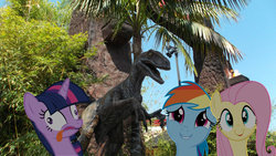 Size: 1024x577 | Tagged: safe, fluttershy, rainbow dash, twilight sparkle, dinosaur, velociraptor, g4, derp, jurassic park, ponies in real life, tongue out, universal studios
