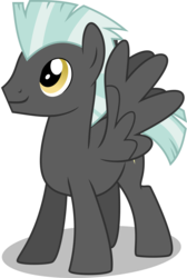 Size: 6000x8914 | Tagged: safe, artist:chainchomp2, thunderlane, pegasus, pony, g4, absurd resolution, male, simple background, solo, stallion, transparent background, vector