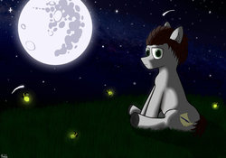 Size: 1069x748 | Tagged: safe, artist:thewake96, oc, oc only, earth pony, pony, mare in the moon, moon, night, stars, torchbugs