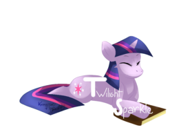 Size: 800x600 | Tagged: dead source, safe, artist:kimmymicetyps, twilight sparkle, g4, female, solo