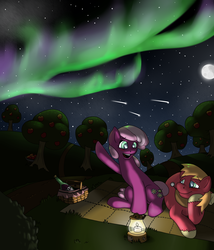 Size: 1800x2100 | Tagged: safe, artist:discordshy, artist:yungdissy, big macintosh, cheerilee, earth pony, pony, g4, apple tree, aurora borealis, blanket, love, male, picnic, picnic basket, picnic blanket, ship:cheerimac, shipping, stallion, straight, sweet apple acres, tree, wine