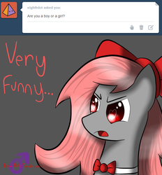 Size: 650x700 | Tagged: safe, artist:bow blitz, oc, oc only, pony, ask, gender, male, stallion, tumblr