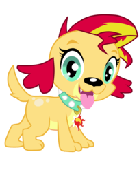 Size: 1231x1519 | Tagged: safe, artist:destinyshirshuxd, spike, spike the regular dog, sunset shimmer, dog, equestria girls, g4, female, simple background, solo, species swap, spike the dog, transparent background, vector