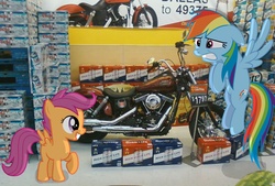 Size: 1280x866 | Tagged: safe, artist:wolfjava, rainbow dash, scootaloo, g4, beer, motorcycle, ponies in real life, walmart