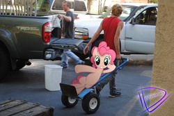 Size: 3872x2592 | Tagged: safe, artist:utterlyludicrous, pinkie pie, human, g4, cart, irl, irl human, photo, pick up, ponies in real life, trash can, truck, vector