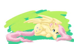 Size: 1500x900 | Tagged: safe, artist:nos-talgia, fluttershy, g4, covering, cute, female, looking at you, prone, shy, simple background, solo, transparent background