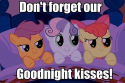 Size: 748x498 | Tagged: safe, apple bloom, scootaloo, sweetie belle, g4, bed, bedroom eyes, bronybait, cutie mark crusaders, image macro