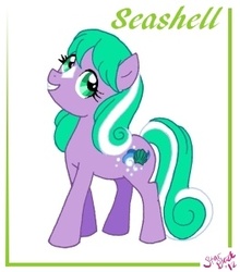 Size: 264x300 | Tagged: safe, artist:paintedmimosa, seashell (g1), earth pony, pony, g1, g4, coat markings, facial markings, female, g1 to g4, generation leap, simple background, solo, star (coat marking), white background