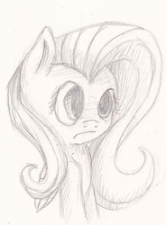 Size: 674x915 | Tagged: safe, artist:suplolnope, fluttershy, g4, female, monochrome, sketch, solo