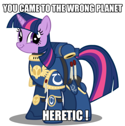 Size: 1000x1008 | Tagged: safe, artist:a4r91n, twilight sparkle, pony, g4, armor, crossover, female, happy, heresy, i made a thing, image macro, meme, purity seal, smiling, solo, space marine, spess mahreen, twiface, ultramarine, warhammer (game), warhammer 40k, wrong neighborhood