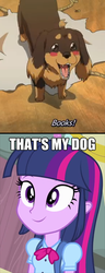 Size: 300x785 | Tagged: safe, twilight sparkle, dog, equestria girls, g4, dog and scissors, humanized, that's my x